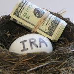 Nest with money and egg with IRA on it
